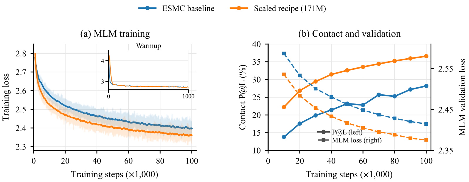 Training loss, contact precision and validation loss of the ESMC baseline and the scaled recipe over 100k training steps